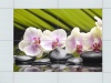 Береза Керамика Декор Азалия Орхидея (панно 4шт) фисташковый 250х350